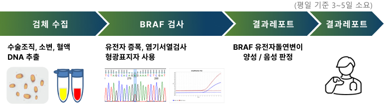 BRAF 돌연변이 hotspot 검사(초진)